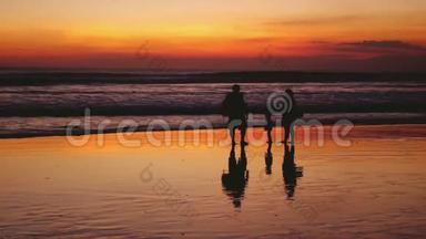 美丽的夕阳下，幸福的家庭在海上漫步。 它们的影子反射在海洋中。 慢慢慢慢